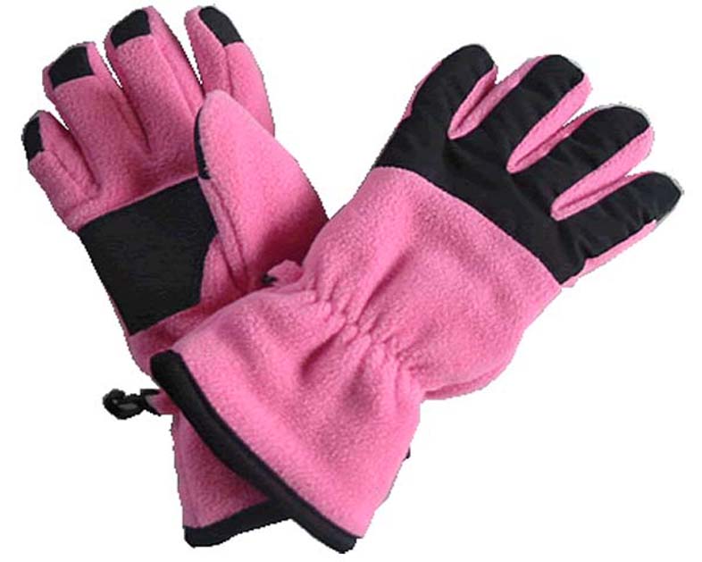Ski Gloves
